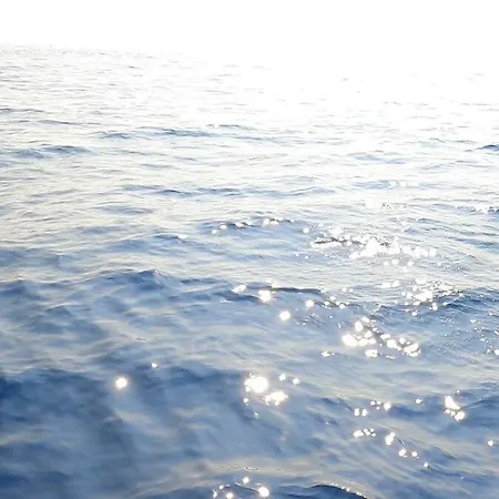 Apartman An Oasis In The Middle Of Spanish Style *